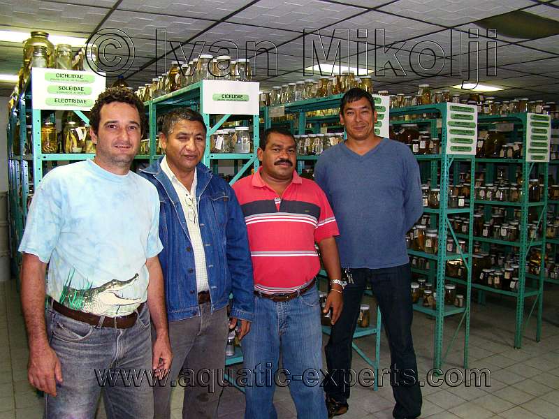 museo de peces amazonas ayacucho